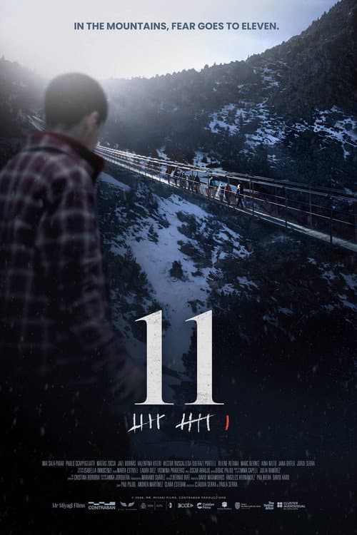 11 afişi