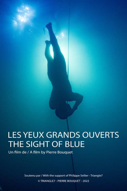 Les yeux grands ouverts afişi