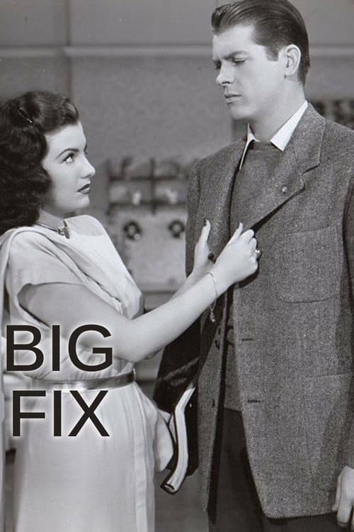 The Big Fix afişi