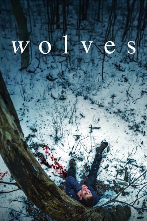 Wolves afişi