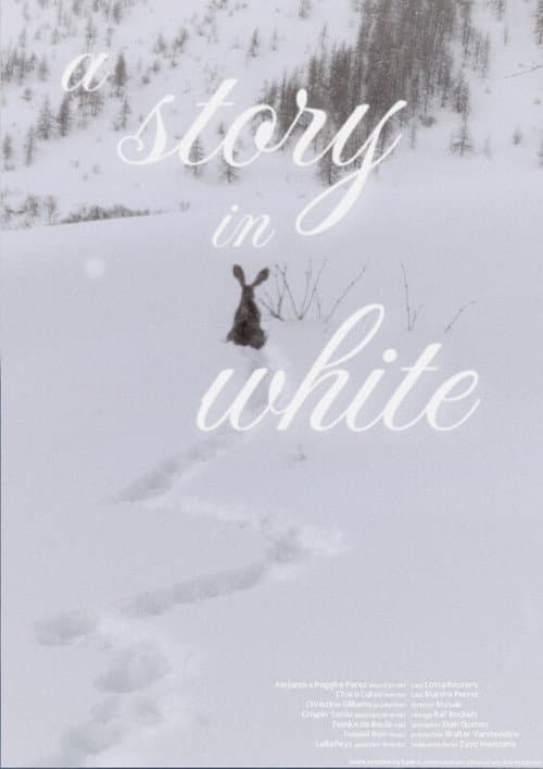 A story in white afişi
