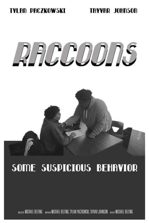 RACCOONS afişi