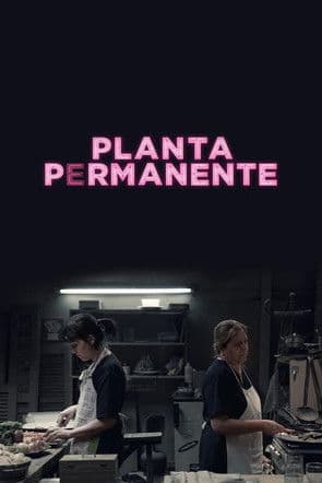 Planta permanente afişi