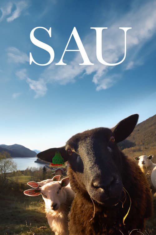 Sau afişi