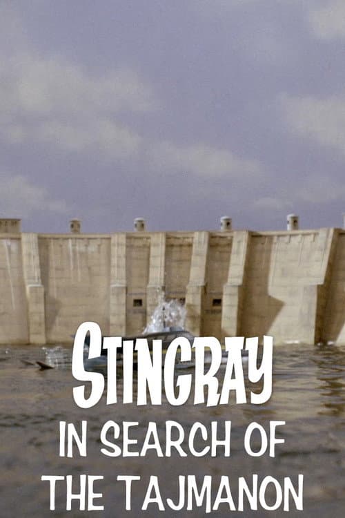 Stingray: In Search of the Tajmanon afişi