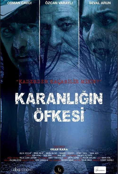 Karanlığın Öfkesi afişi