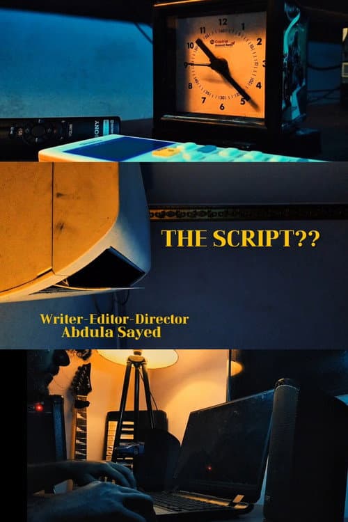 THE SCRIPT?? afişi