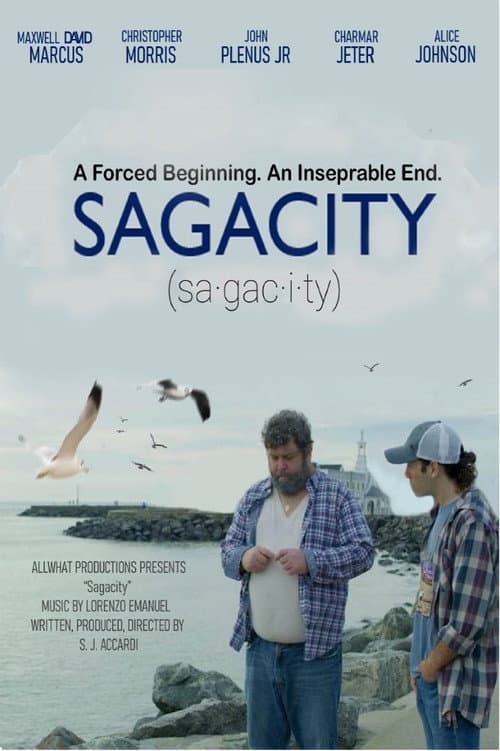 Sagacity afişi