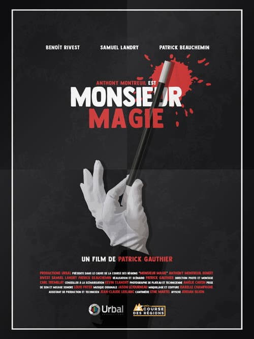 Monsieur Magie afişi