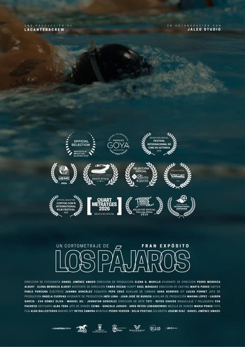 Los pájaros afişi