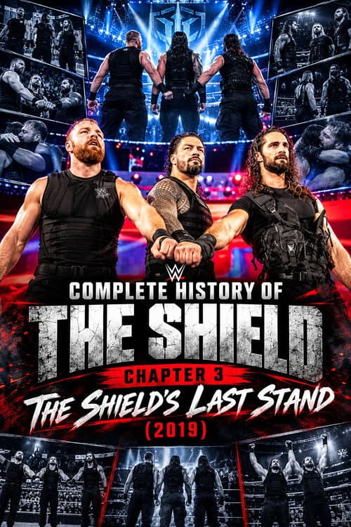 Complete History of The Shield - Chapter 3 afişi