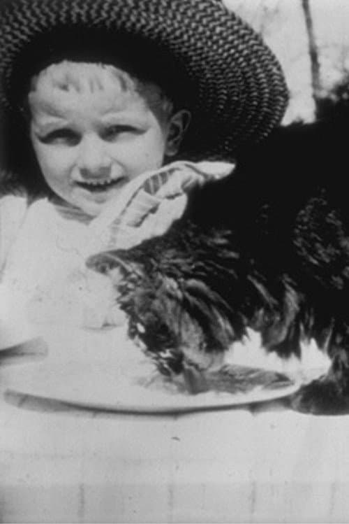 Déjeuner du chat afişi
