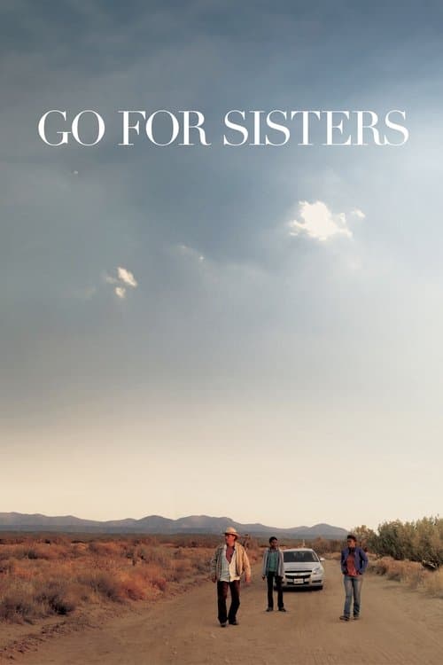 Go for Sisters afişi