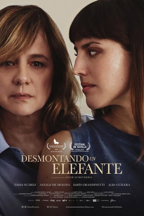 Desmontando un elefante afişi