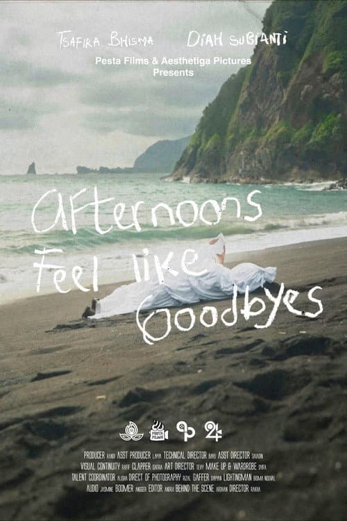 Afternoons Feel Like Goodbyes afişi