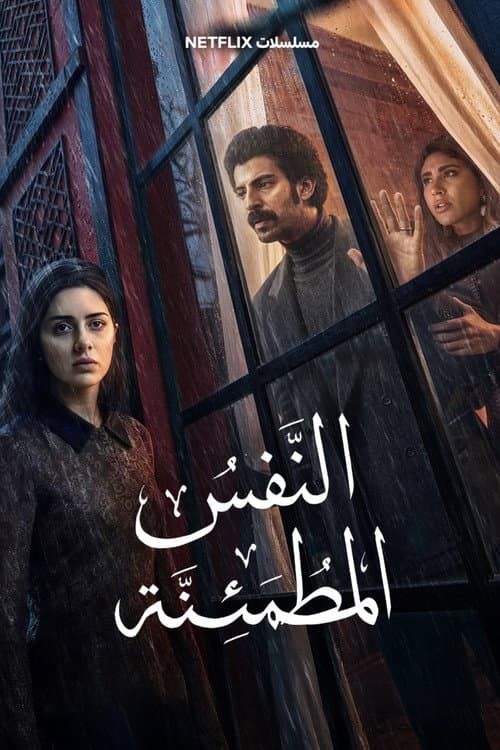 The Reassured Soul afişi