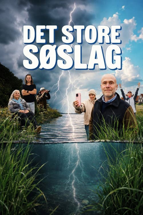 Det store søslag afişi