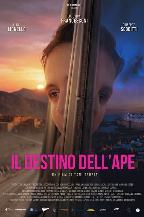 Il destino dell'ape afişi