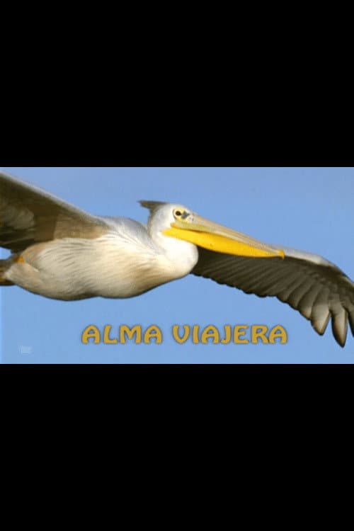 Alma viajera afişi