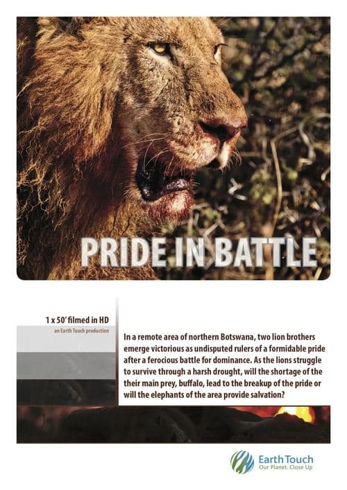 Pride in Battle afişi