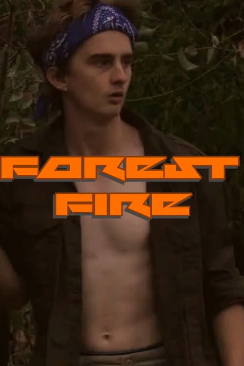 Forest Fire afişi