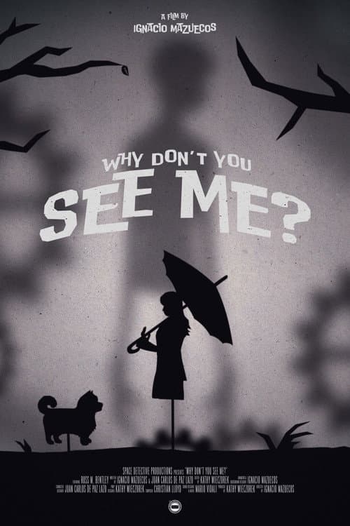 Why Don't You See Me? afişi