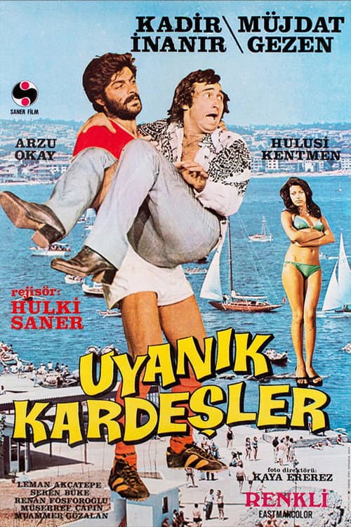 Uyanık Kardeşler afişi