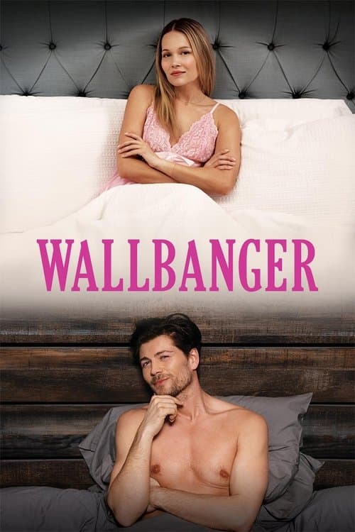 Wallbanger afişi