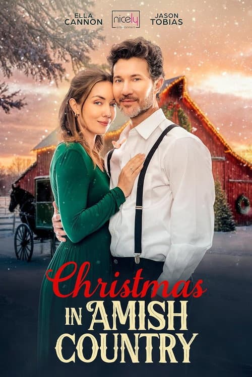Christmas in Amish Country afişi
