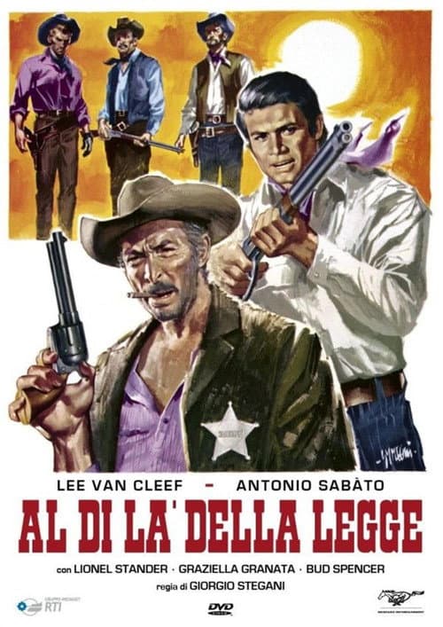Al di là della legge afişi