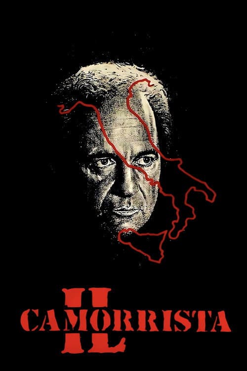 Il camorrista afişi