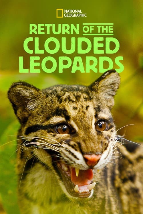 Return of the Clouded Leopards afişi