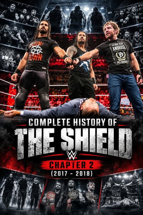 Complete History of The Shield - Chapter 2 afişi