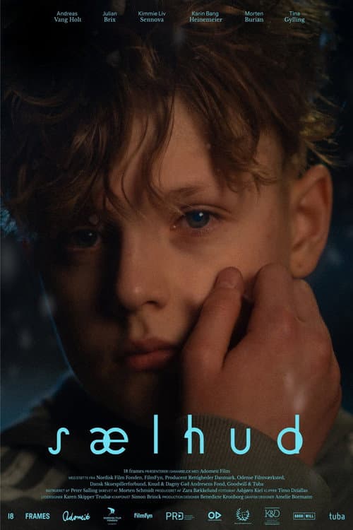 Sælhud afişi