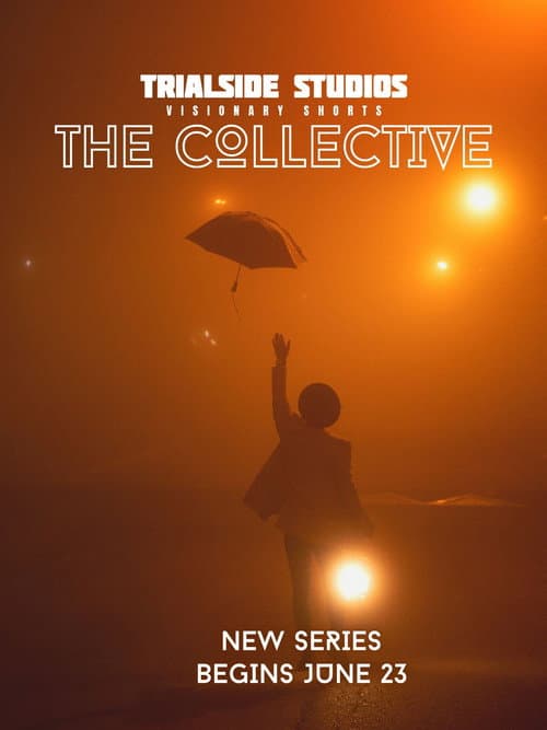 The Collective afişi