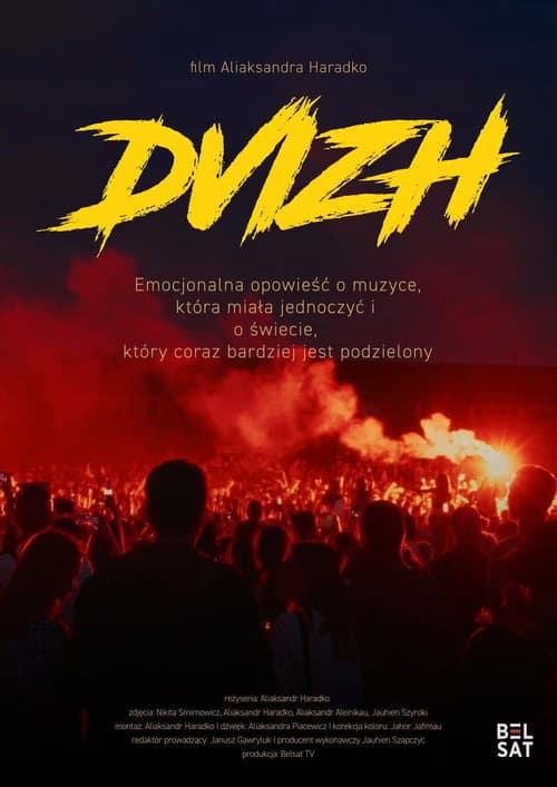 DVIZH afişi