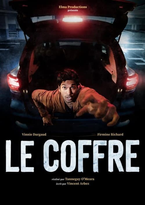 Le Coffre afişi