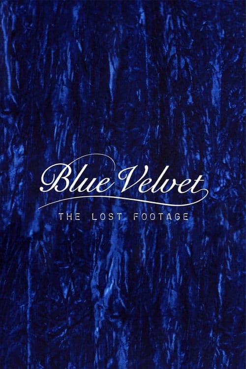 Blue Velvet: The Lost Footage afişi