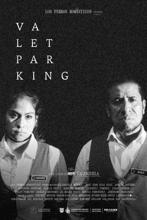 Valet parking afişi