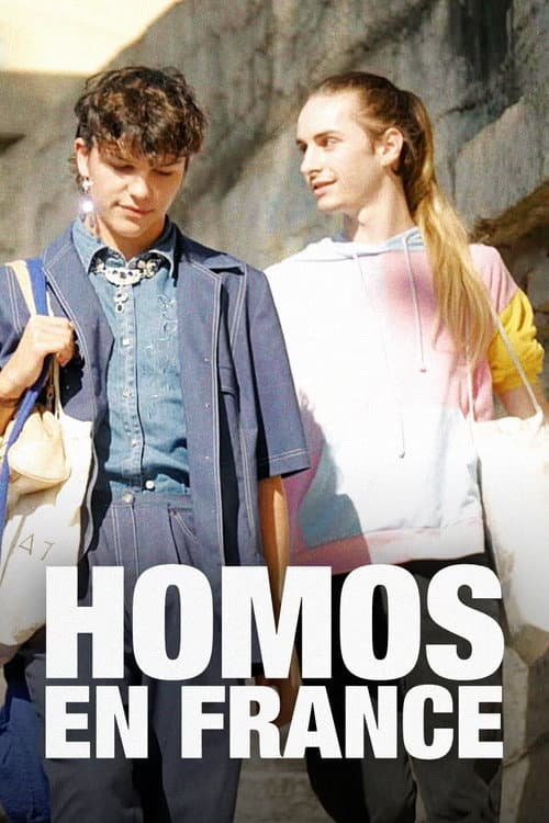 Homos en France afişi