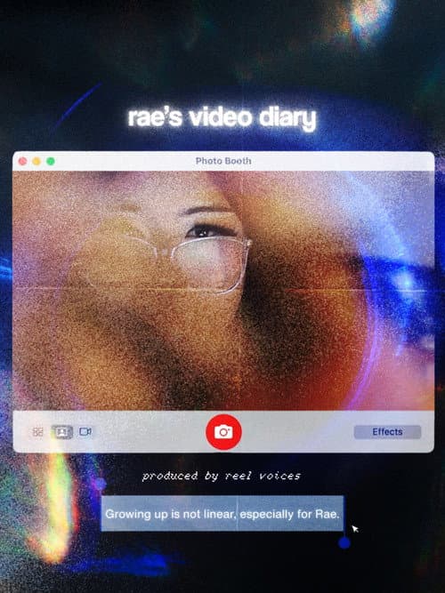 Rae's Video Diary afişi