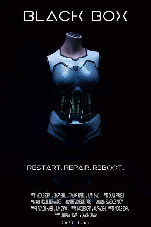 Black Box afişi