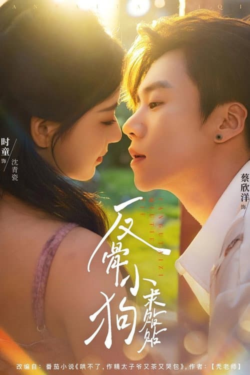 Fan Gu Xiao Gou Qiu Tie Tie afişi