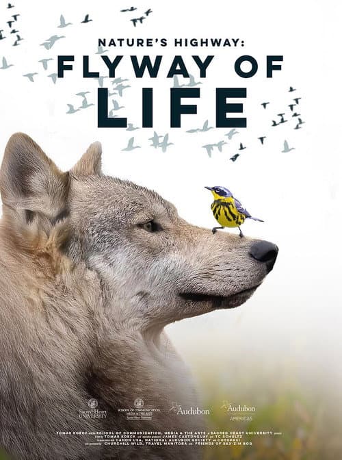 Flyway of Life afişi