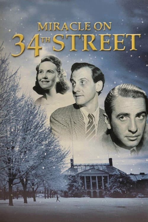 The Miracle on 34th Street afişi