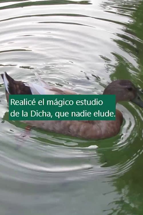 Cinco arrimamientos afişi