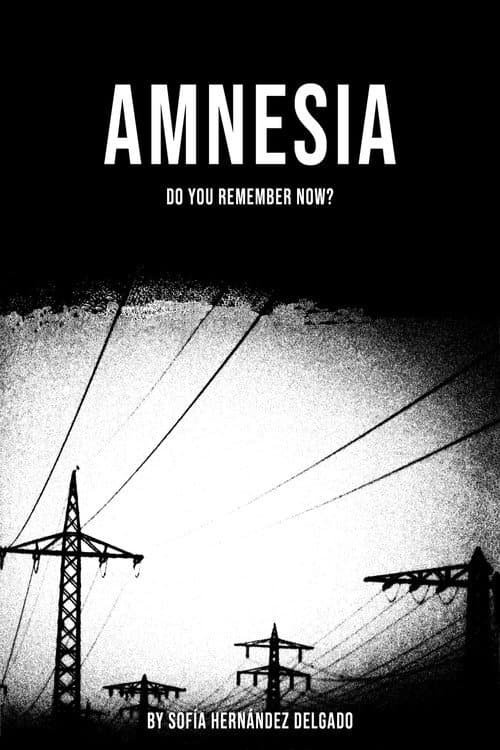 Amnesia afişi