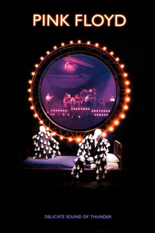 Pink Floyd - Delicate Sound Of Thunder afişi