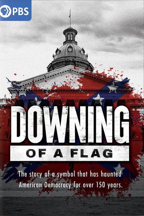 Downing of a Flag afişi