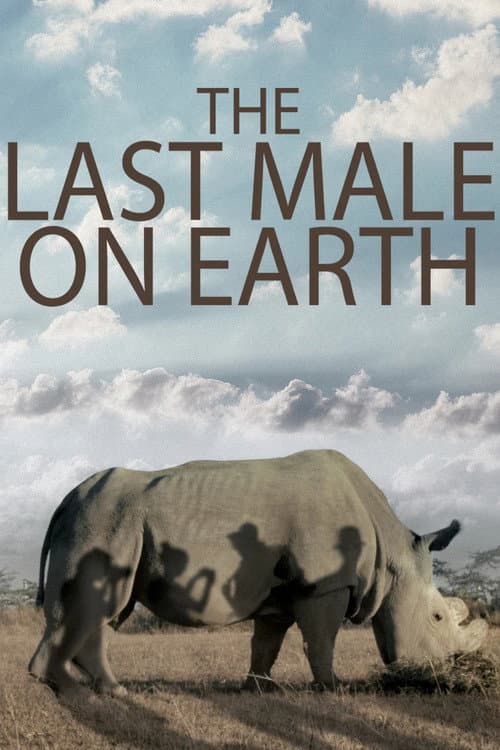 The Last Male on Earth afişi